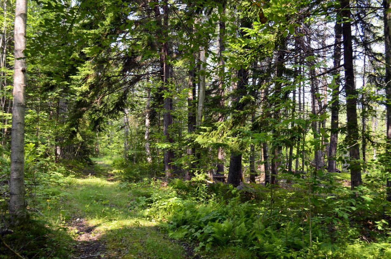 Still Point Lodge Deep Brook Экстерьер фото
