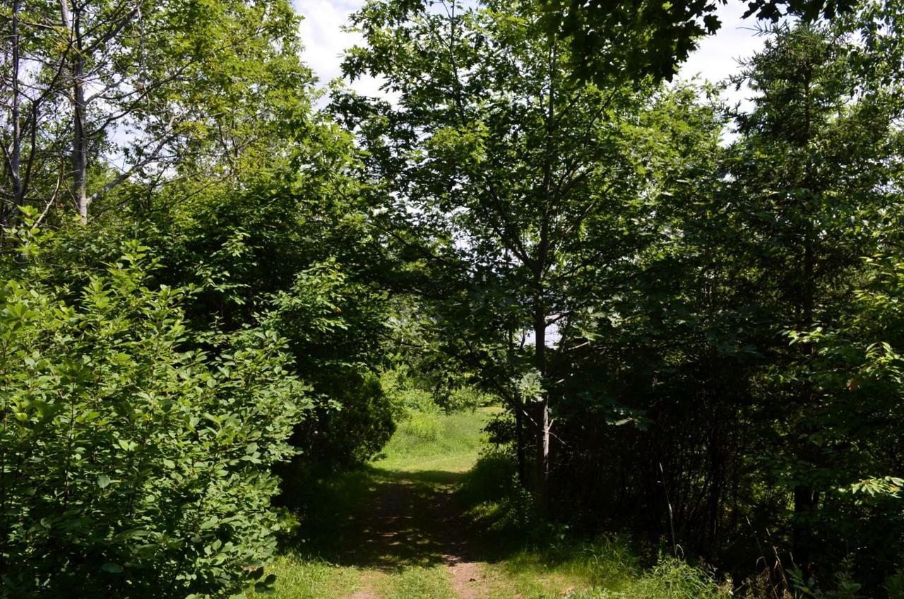 Still Point Lodge Deep Brook Экстерьер фото