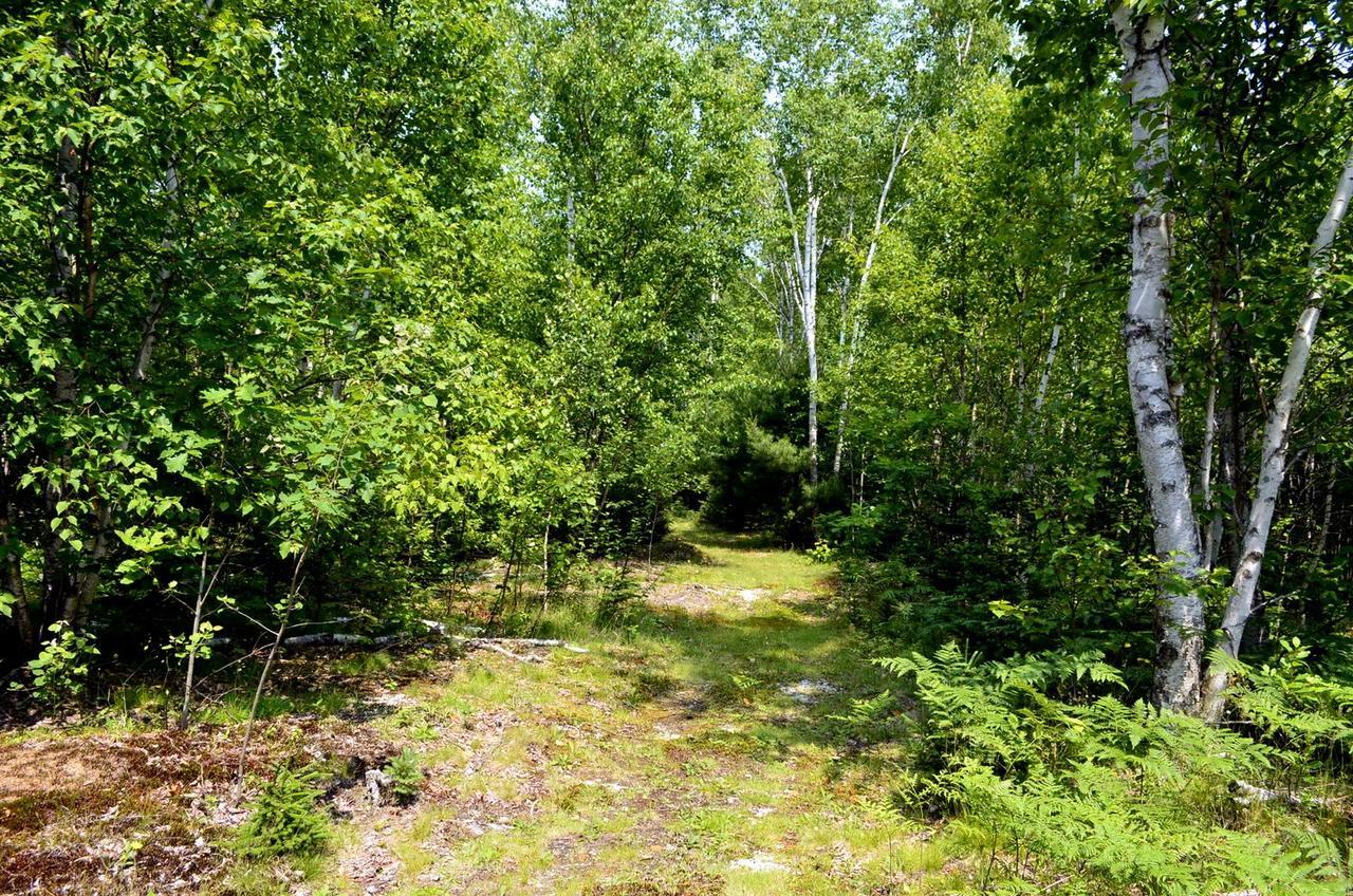 Still Point Lodge Deep Brook Экстерьер фото