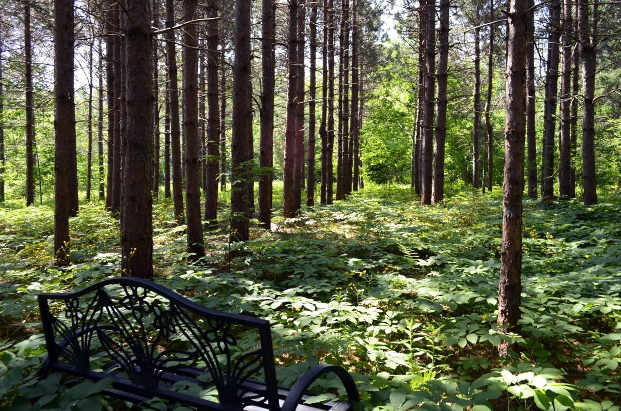 Still Point Lodge Deep Brook Экстерьер фото