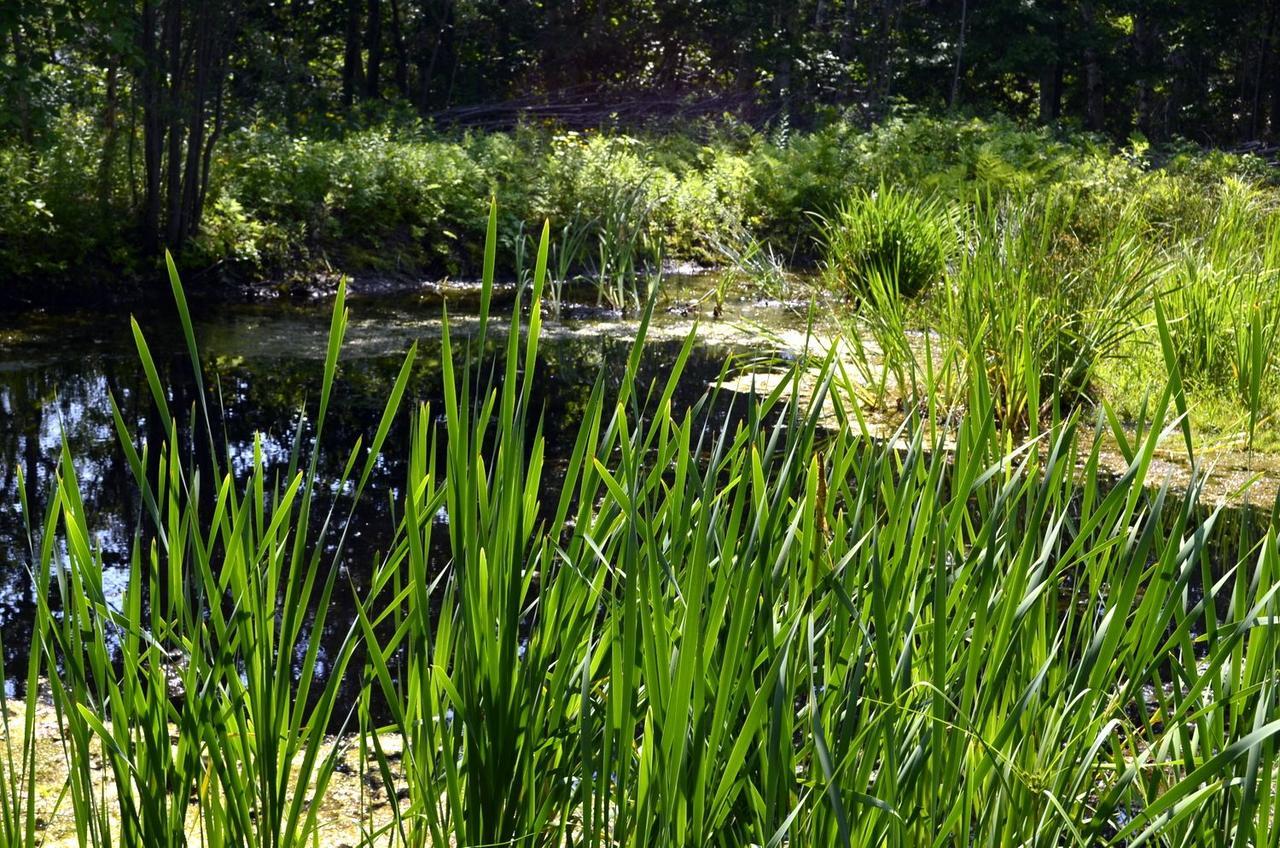Still Point Lodge Deep Brook Экстерьер фото